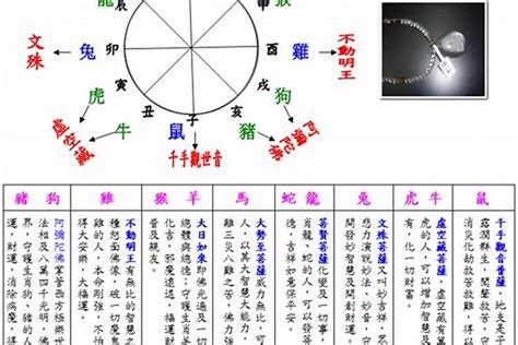 2003年五行属什么|2003年羊五行属什么命？详解属羊人的性格和运势